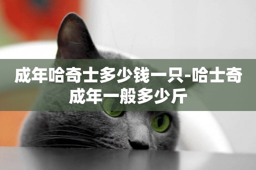 成年哈奇士多少錢一只-哈士奇成年一般多少斤