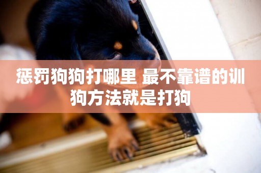 懲罰狗狗打哪里 最不靠譜的訓狗方法就是打狗