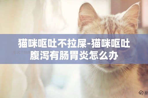 貓咪嘔吐不拉屎-貓咪嘔吐腹瀉有腸胃炎怎么辦