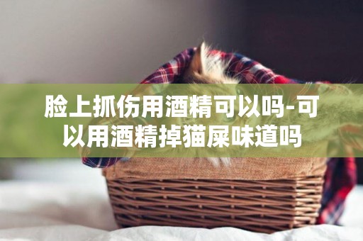 臉上抓傷用酒精可以嗎-可以用酒精掉貓屎味道嗎