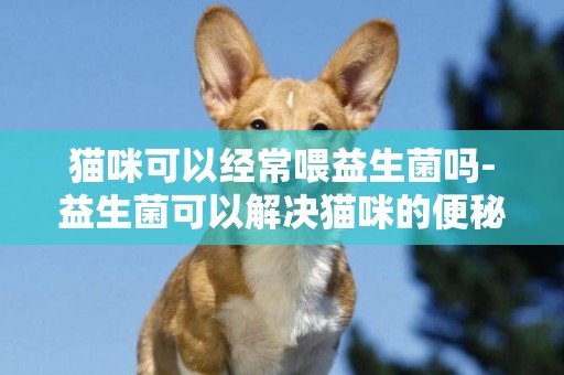 貓咪可以經常喂益生菌嗎-益生菌可以解決貓咪的便秘問題嗎