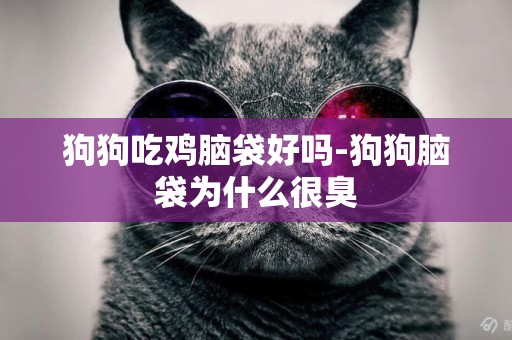 狗狗吃雞腦袋好嗎-狗狗腦袋為什么很臭