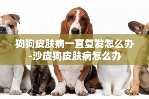 狗狗皮膚病一直復發怎么辦-沙皮狗皮膚病怎么辦