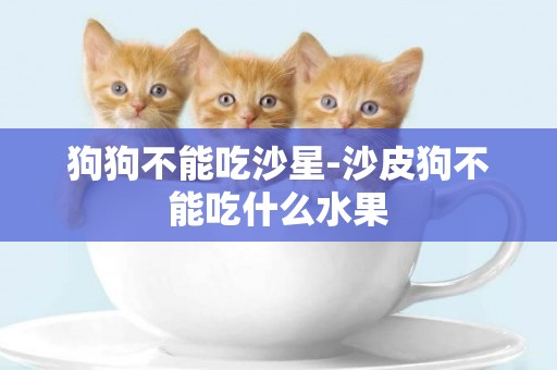 狗狗不能吃沙星-沙皮狗不能吃什么水果
