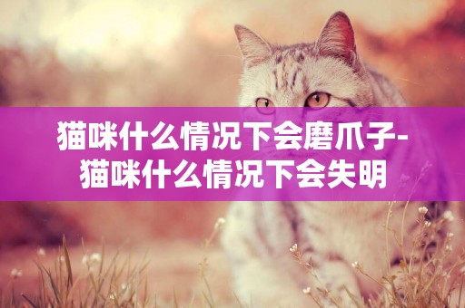 貓咪什么情況下會磨爪子-貓咪什么情況下會失明