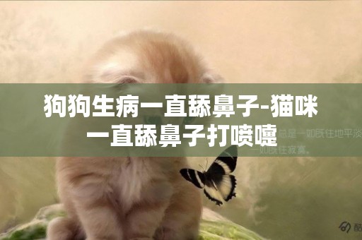 狗狗生病一直舔鼻子-貓咪一直舔鼻子打噴嚏