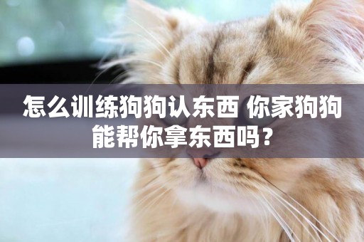 怎么訓練狗狗認東西 你家狗狗能幫你拿東西嗎？