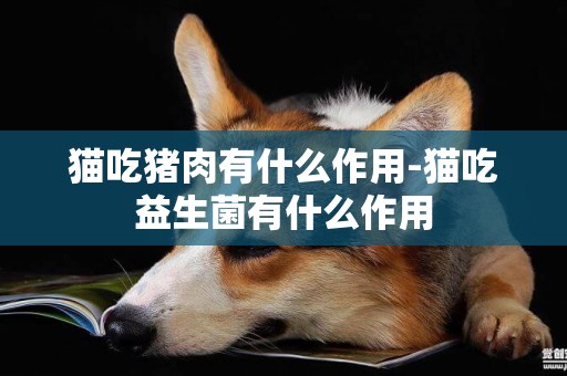 貓吃豬肉有什么作用-貓吃益生菌有什么作用
