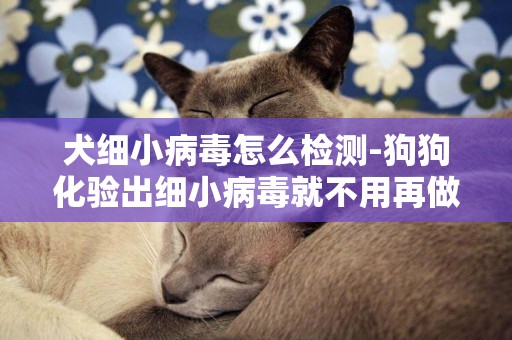 犬細小病毒怎么檢測-狗狗化驗出細小病毒就不用再做便檢了