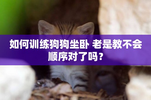 如何訓練狗狗坐臥 老是教不會順序對了嗎？
