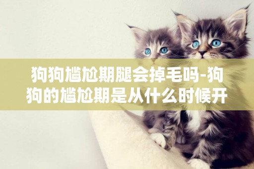 狗狗尷尬期腿會掉毛嗎-狗狗的尷尬期是從什么時候開始
