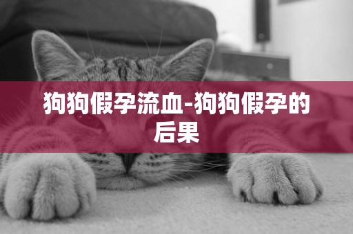 狗狗假孕流血-狗狗假孕的后果