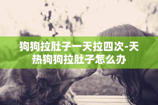 狗狗拉肚子一天拉四次-天熱狗狗拉肚子怎么辦