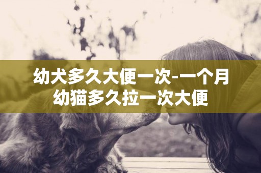 幼犬多久大便一次-一個月幼貓多久拉一次大便