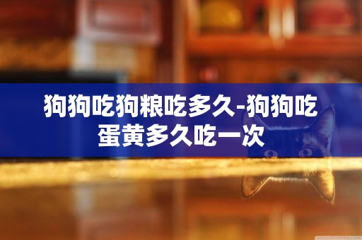 狗狗吃狗糧吃多久-狗狗吃蛋黃多久吃一次