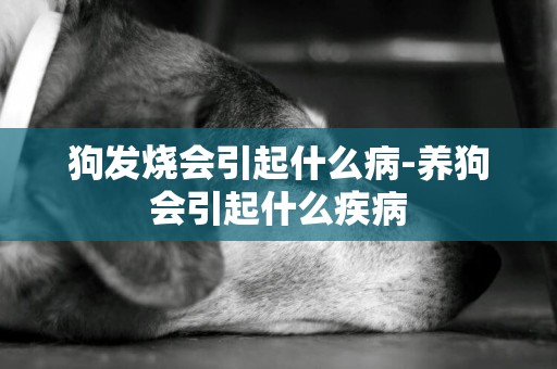 狗發燒會引起什么病-養狗會引起什么疾病