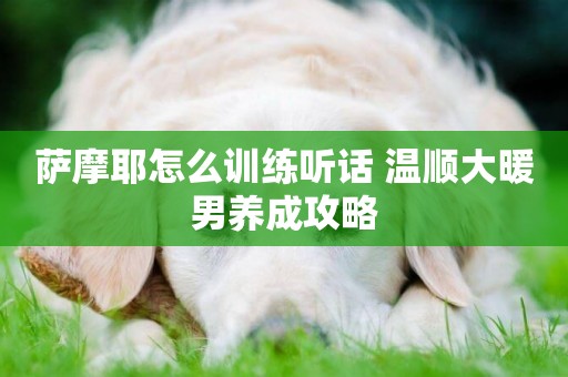 薩摩耶怎么訓練聽話 溫順大暖男養成攻略