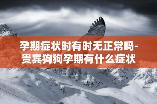 孕期癥狀時有時無正常嗎-貴賓狗狗孕期有什么癥狀