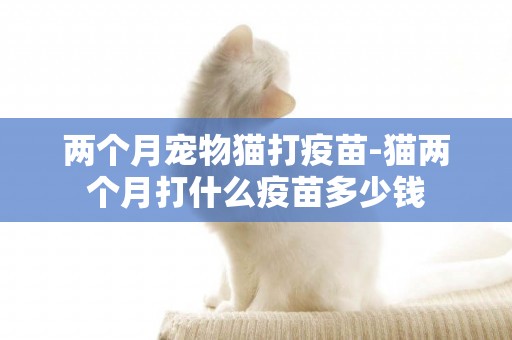 兩個月寵物貓打疫苗-貓兩個月打什么疫苗多少錢