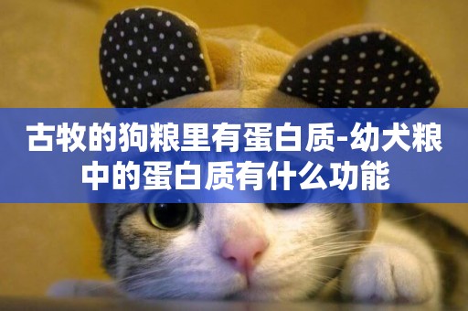 古牧的狗糧里有蛋白質-幼犬糧中的蛋白質有什么功能
