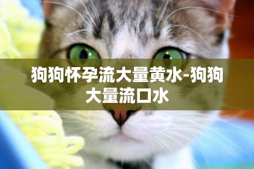 狗狗懷孕流大量黃水-狗狗大量流口水