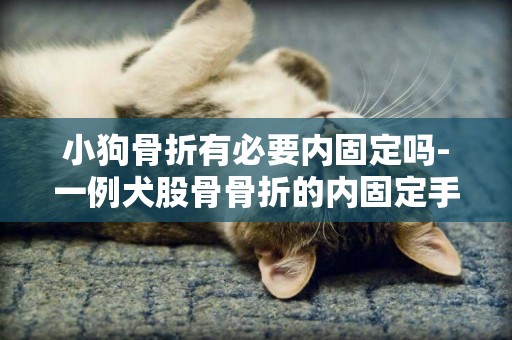 小狗骨折有必要內固定嗎-一例犬股骨骨折的內固定手術治療