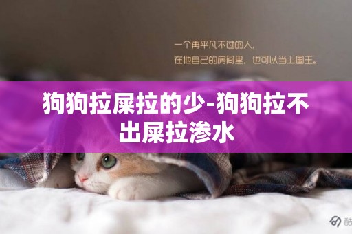 狗狗拉屎拉的少-狗狗拉不出屎拉滲水