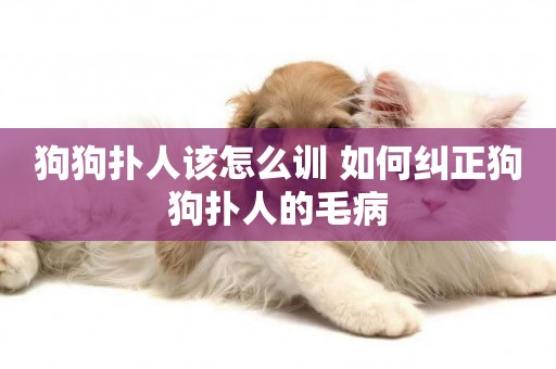 狗狗撲人該怎么訓 如何糾正狗狗撲人的毛病