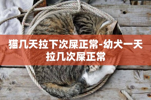 貓幾天拉下次屎正常-幼犬一天拉幾次屎正常