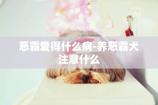 惡霸愛得什么病-養惡霸犬注意什么