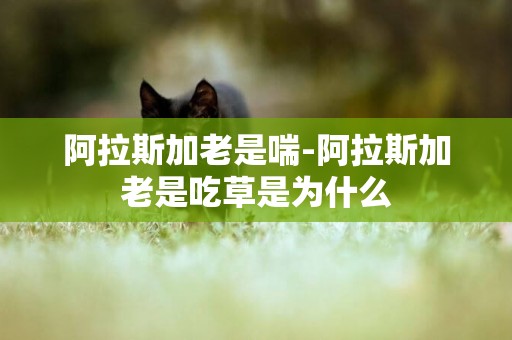 阿拉斯加老是喘-阿拉斯加老是吃草是為什么