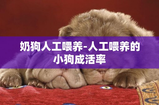 奶狗人工喂養-人工喂養的小狗成活率
