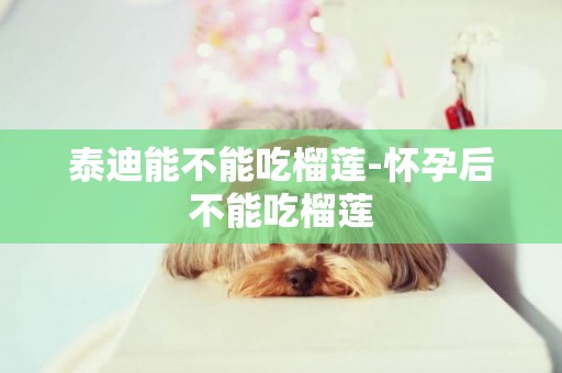 泰迪能不能吃榴蓮-懷孕后不能吃榴蓮