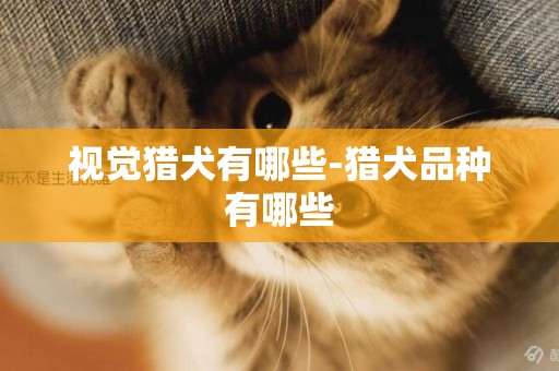 視覺獵犬有哪些-獵犬品種有哪些