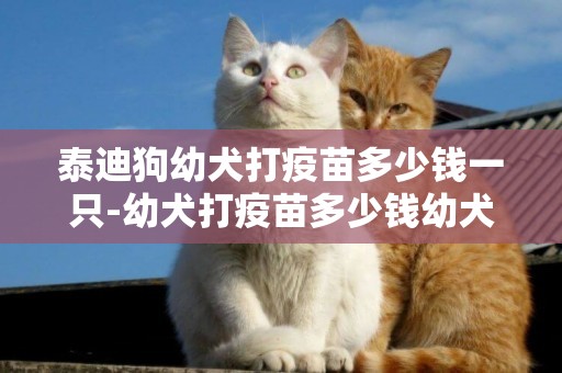 泰迪狗幼犬打疫苗多少錢一只-幼犬打疫苗多少錢幼犬打疫苗注意事項