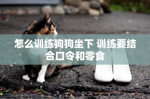 怎么訓練狗狗坐下 訓練要結合口令和零食 怎么訓練狗狗坐下 訓練要結合口令和零食