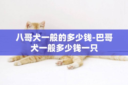 八哥犬一般的多少錢-巴哥犬一般多少錢一只