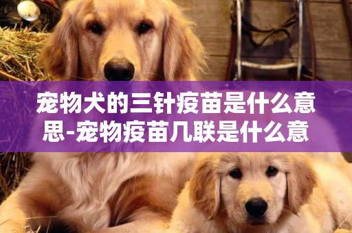 寵物犬的三針疫苗是什么意思-寵物疫苗幾聯是什么意思