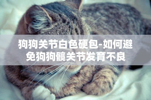 狗狗關節白色硬包-如何避免狗狗髖關節發育不良