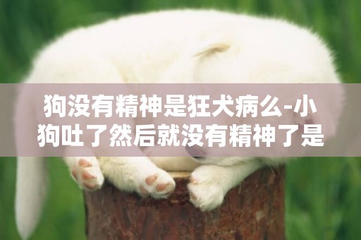 狗沒有精神是狂犬病么-小狗吐了然后就沒有精神了是什么病