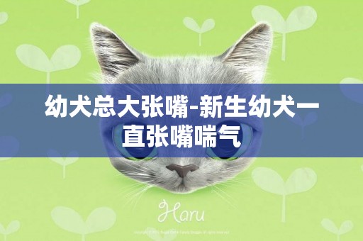 幼犬總大張嘴-新生幼犬一直張嘴喘氣