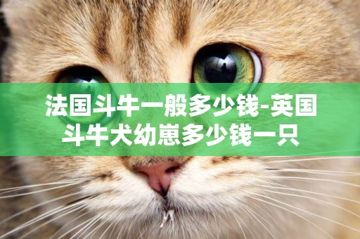 法國斗牛一般多少錢-英國斗牛犬幼崽多少錢一只