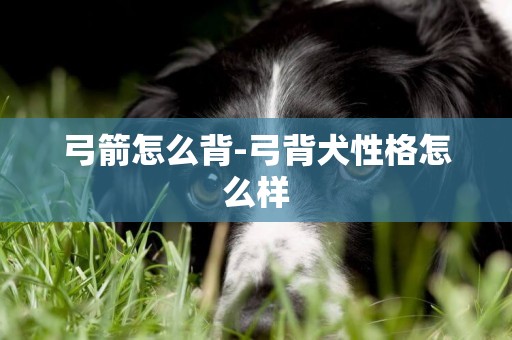 弓箭怎么背-弓背犬性格怎么樣