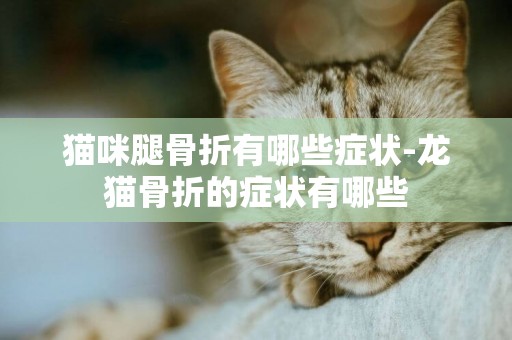 貓咪腿骨折有哪些癥狀-龍貓骨折的癥狀有哪些
