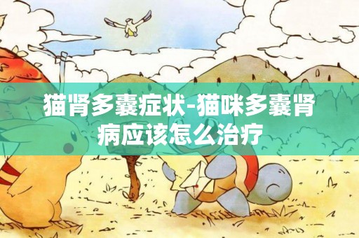 貓腎多囊癥狀-貓咪多囊腎病應該怎么治療