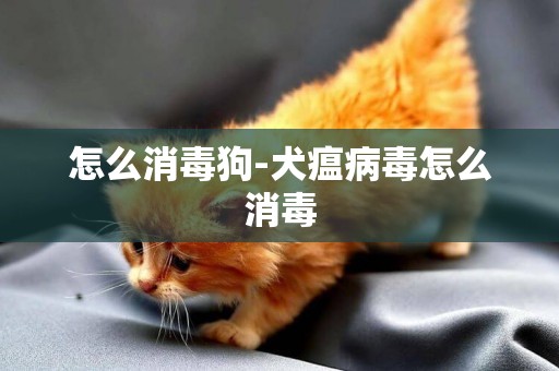怎么消毒狗-犬瘟病毒怎么消毒