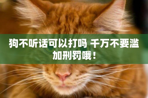 狗不聽話可以打嗎 千萬不要濫加刑罰哦！