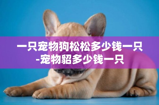 一只寵物狗松松多少錢一只-寵物貂多少錢一只