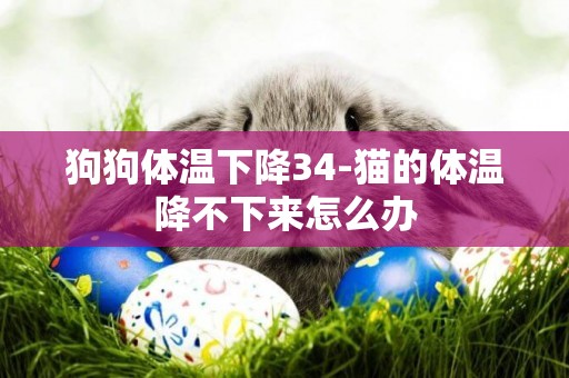 狗狗體溫下降34-貓的體溫降不下來怎么辦