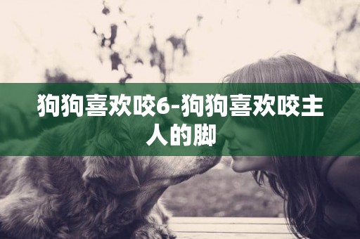 狗狗喜歡咬6-狗狗喜歡咬主人的腳